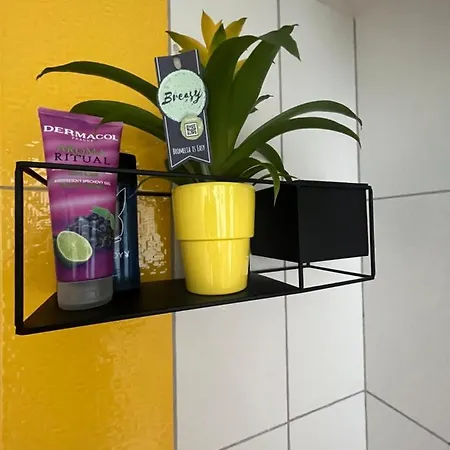 Monstera I - Classic 公寓 歌林