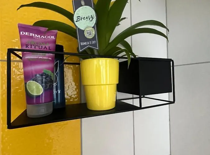 Monstera I - Classic Apartament Kolín
