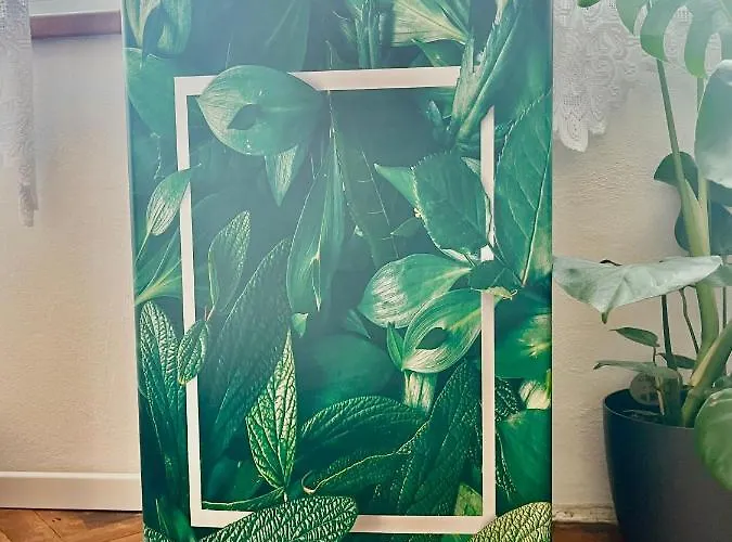 Monstera I - Classic شقة